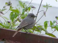 P1080448.webp