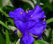 DSC_0039.webp