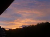 P1130004.webp