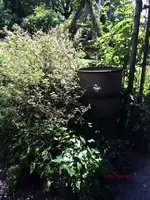G_Kompost_Thermo_Stall_oben_vorher__18.05.2014_mr.ditschy.webp