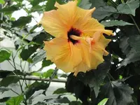 IMG_0118.webp