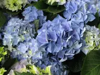 Bild 1569.webp