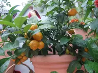 DSCF9157.webp DSCF9157.webp