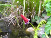 DSCN8107.webp