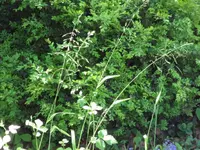 SAM_4044.webp