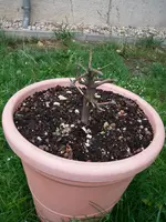 IMGP0019.webp IMGP0019.webp