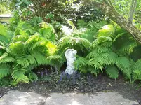 018.webp
