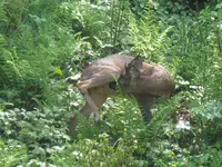 009_1024x768.webp