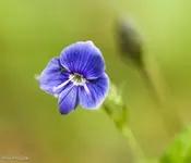 IMG_8905.webp