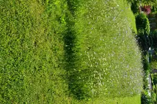 DSC_0004.webp