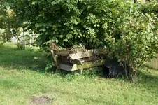 DSC00340.webp