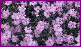 012.webp