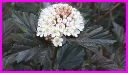 014.webp