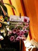 P1080153 (Kopie).webp