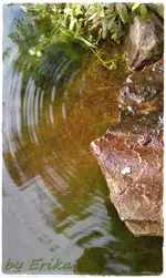 steter Tropfen.webp