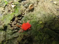 011_1024x768.webp