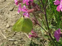 006_1024x768.webp