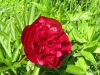 007_1024x768.webp