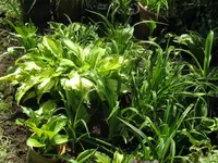 013_1024x768.webp