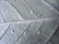 RIMG3689.webp