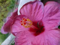 P1130012.webp
