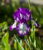 IMG_8957.webp