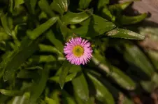 Stg 14-05-19-2262.webp