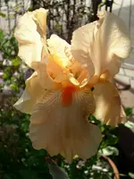 DSCI2508.webp