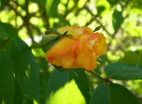 7567_009er43.webp 7567_009er43.webp