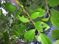 2014-05-20 07.34.05.webp