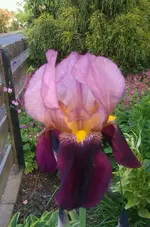 IMAG1979-1.webp