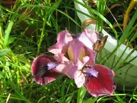 regards_1024x768.webp