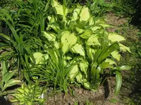 018_1024x768.webp