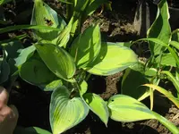 june_1024x768.webp