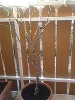 20140519_192150.webp