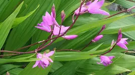 083.webp