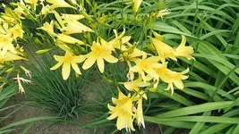 066.webp