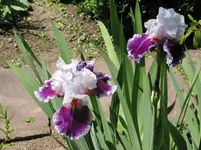 IMG_4746.webp