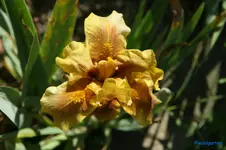 _DSC01319.webp