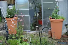 comp_DSC01323.webp