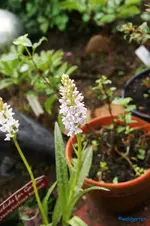 comp_DSC01281.webp