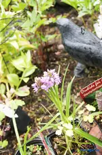 comp_DSC01282.webp