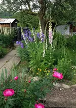 Garten3.webp