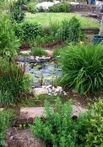 Teich1.webp