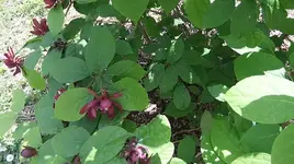 020.webp