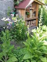 2014-05-17 Insektenhotel.webp