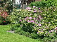 2014-05-19 Rhodo-Quartier.webp