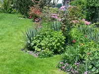 2014-05-19 Yucca-Quartier.webp