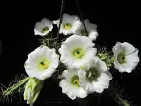 IMG_2992 - Kopie.webp