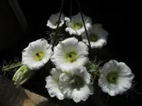 IMG_2993 - Kopie.webp